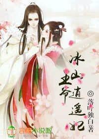 冰山王爷俏王妃