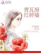 青砖瓦片墙