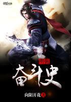 明朝兴衰史