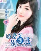 首席骄妻难搞定