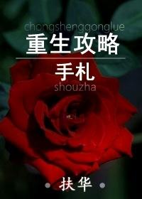 重生攻略手札讲的什么故事