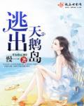 沙湖天鹅岛