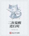 二次觉醒等级