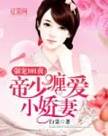 帝少的天价宠妻免费阅读全文