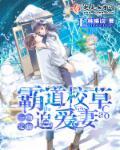 甜妻攻略病娇宠臣