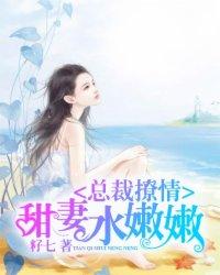 总裁撩妻100式