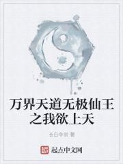 万界之天道作家