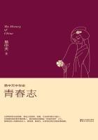 易中天中华史青春志读后感