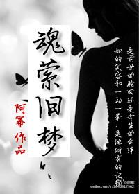 魂萦旧梦翻唱版