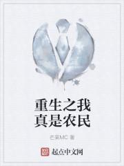 重生之农民
