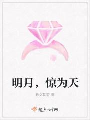 明月惊鸿来